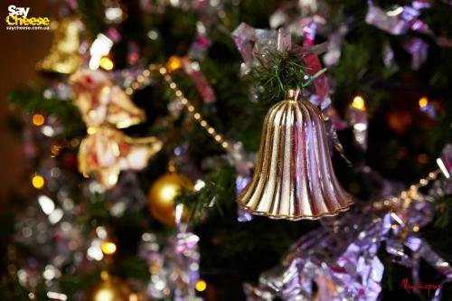 saycheese misteria 23 12 2021 0083