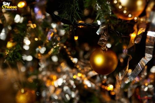 saycheese misteria 23 12 2021 0084